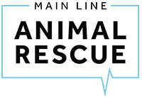 Main Line Animal Rescue's Drive-in Movie Night