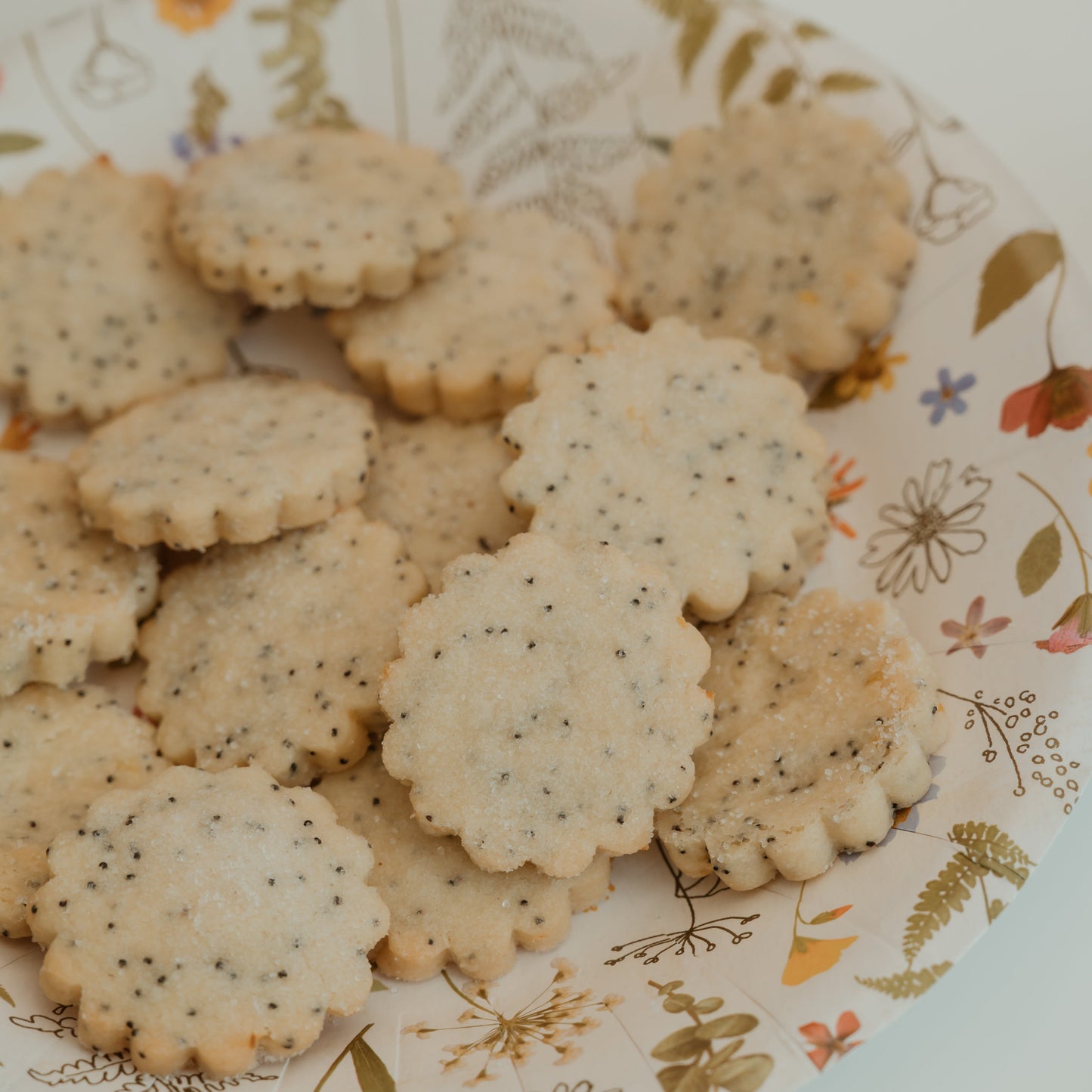 Shortbread Nosh Cookie Sampler