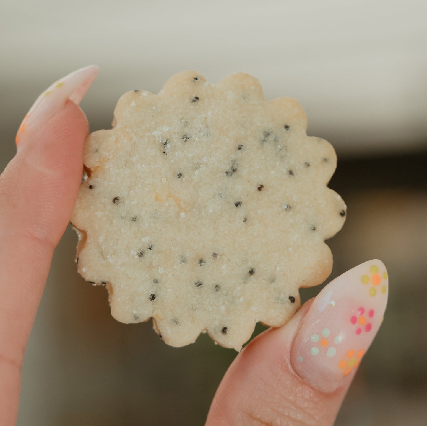 Shortbread Nosh Cookie Sampler