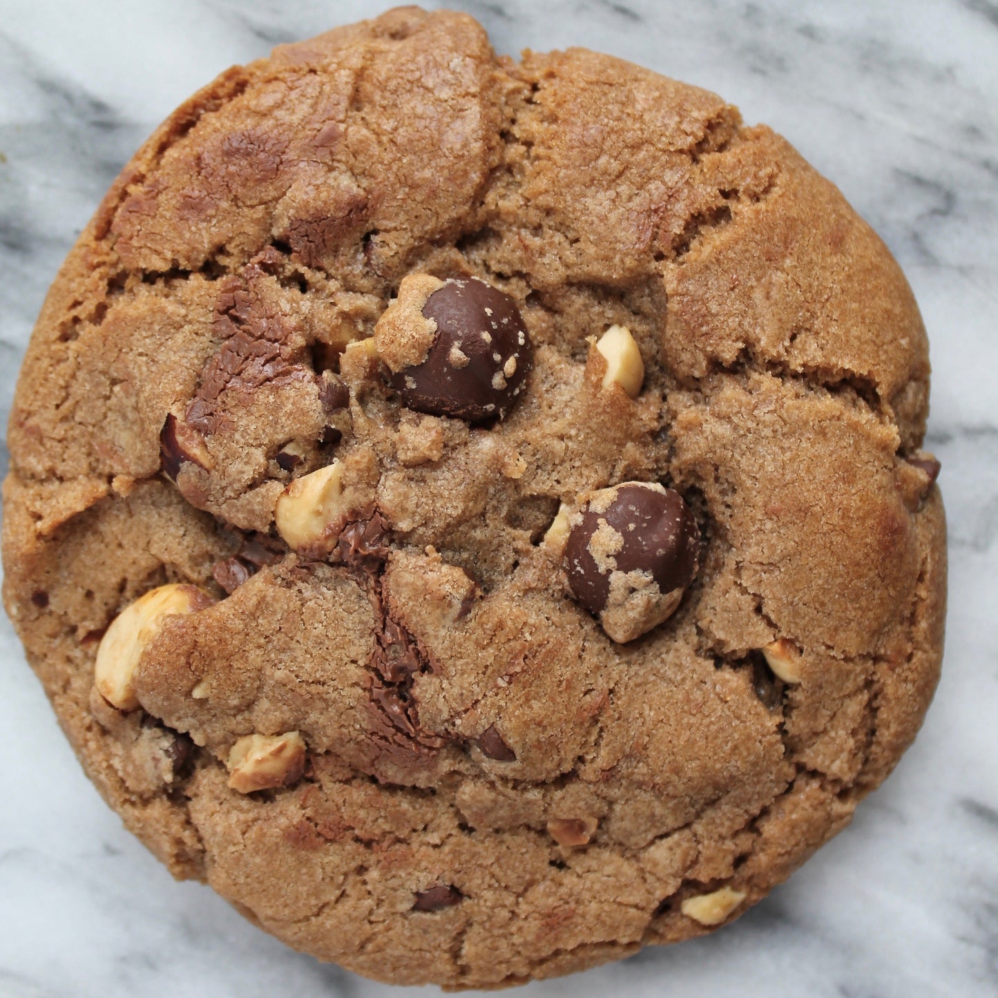 Nutella Chocolate Chip + Hazelnut