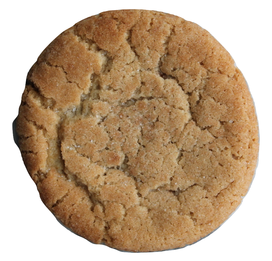 Salted Caramel Snickerdoodle - Flour & Oats Artisan Cookies